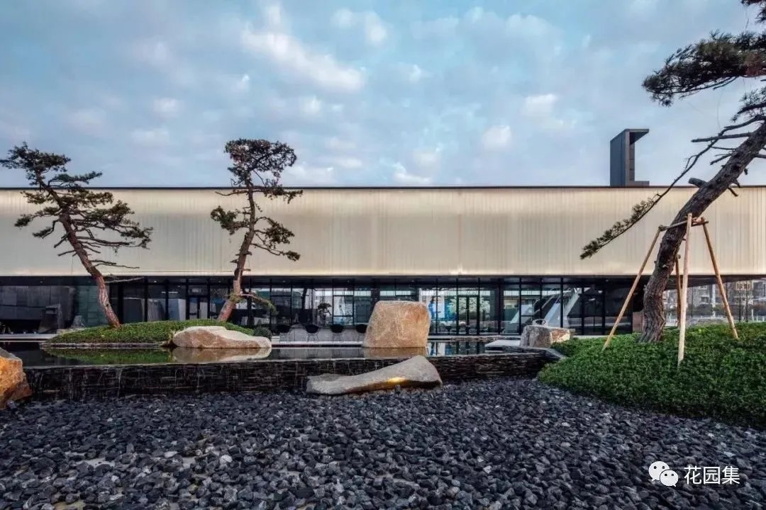 造型松，无奇不自由！气质庭院必备元素