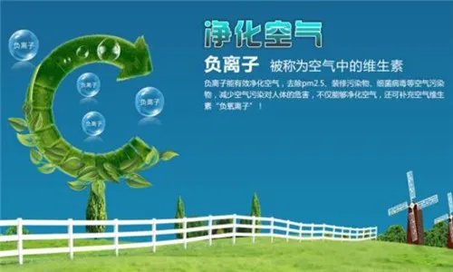 白醋能去除甲醛吗