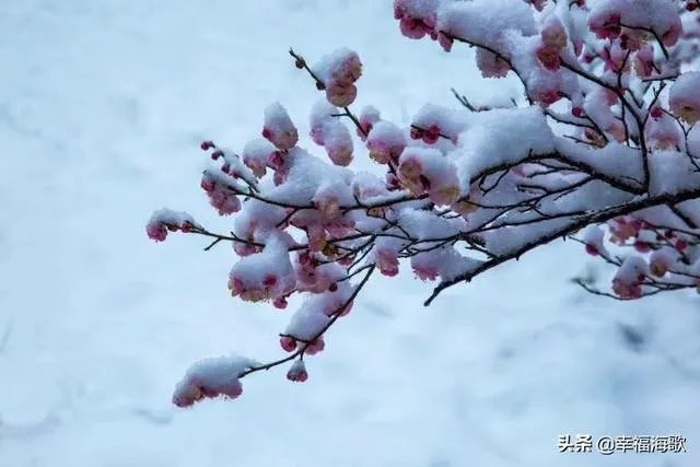 你怎么看待江西抚州遇害者女儿称，下葬日庆功恶心？