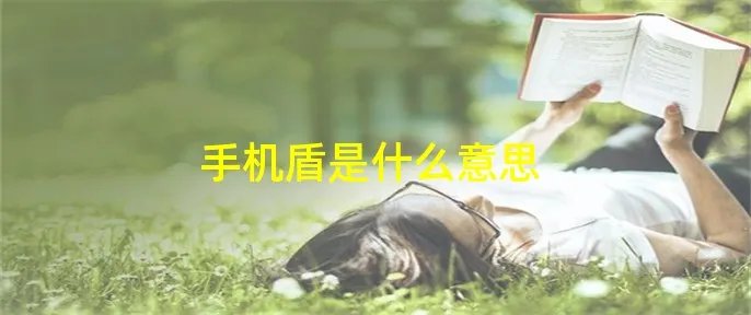 手机盾是什么意思