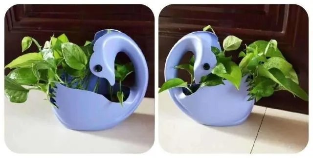 洗衣液瓶子做花盆制作方法图片