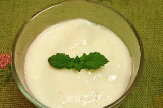 夏季健康减肥排毒--自制脱脂酸奶