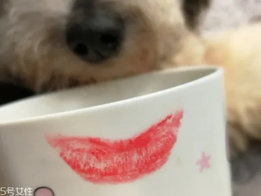 雅诗兰黛口红怎么样？