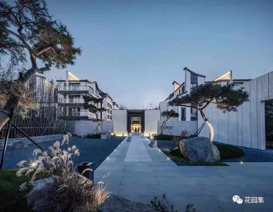 造型松，无奇不自由！气质庭院必备元素