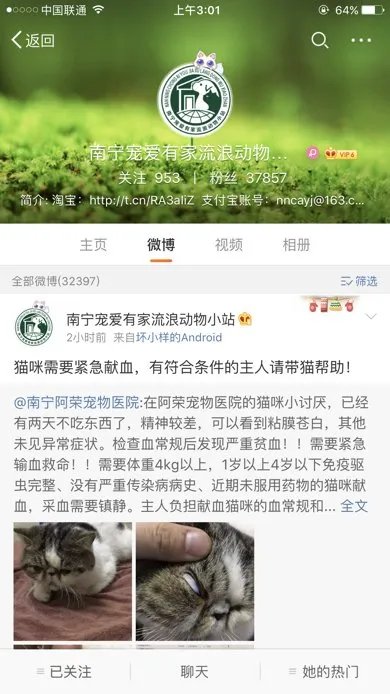 南宁瑞鹏宠物医院凤翔分院可以领养宠物吗？收费合理吗？（跪求解答）