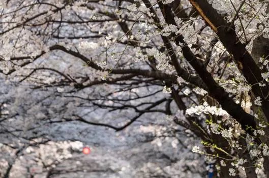 旅程相伴　索尼三剑客的一路风情