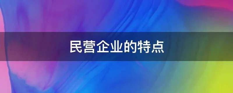 民营企业的特点