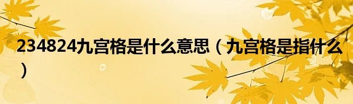 234824九宫格是什么意思（九宫格是指什么）