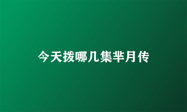 今天拨哪几集芈月传