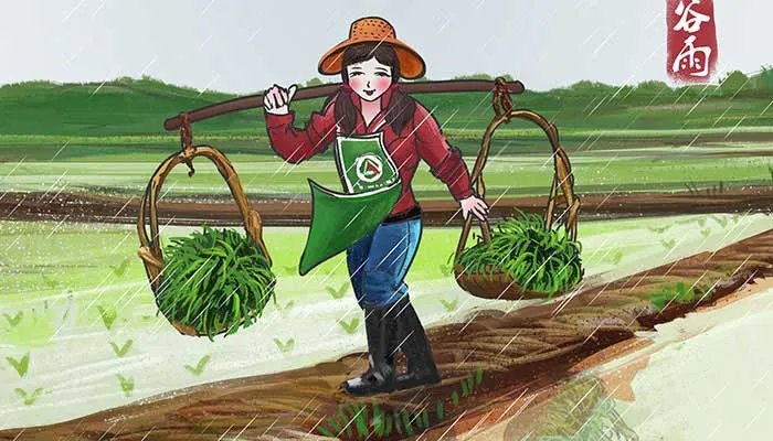 谷雨节气的含义是什么 谷雨代表着什么