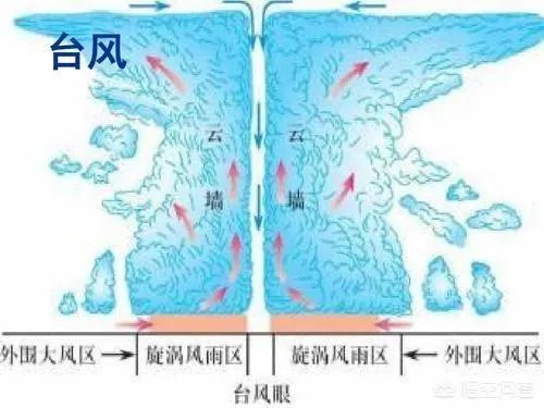 今年第5号、6号台风几乎同时生成,台风形成的原因是什么?