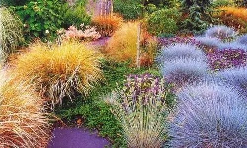 原创:花境按植物材料的分类及各自优缺点