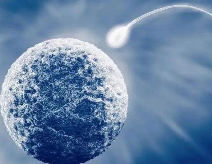 试管取卵过程-揭秘试管婴儿取卵过程——7个步骤只需10-20分钟（图文分析）