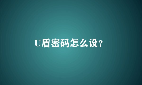 U盾密码怎么设？