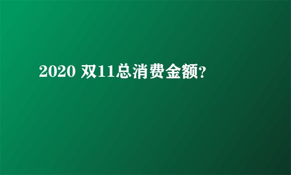 2020 双11总消费金额？