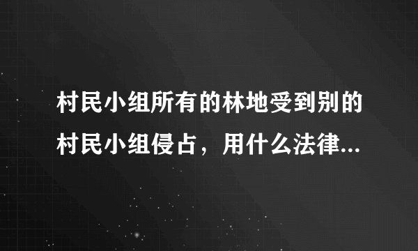 村民小组所有的林地受到别的村民小组侵占，用什么法律去解决？