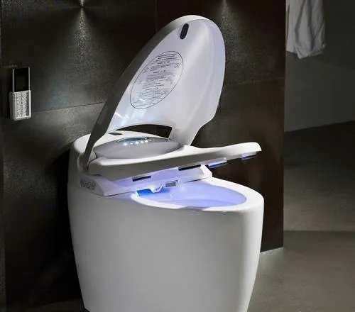 日本马桶盖有什么功能 日本马桶盖具体特点