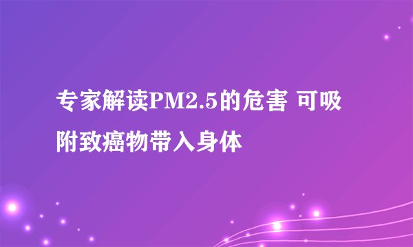 专家解读PM2.5的危害 可吸附致癌物带入身体