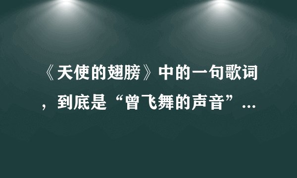 《天使的翅膀》中的一句歌词,到底是“曾飞舞的声音”还是“飞舞的身影”??