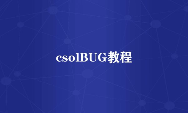 csolBUG教程