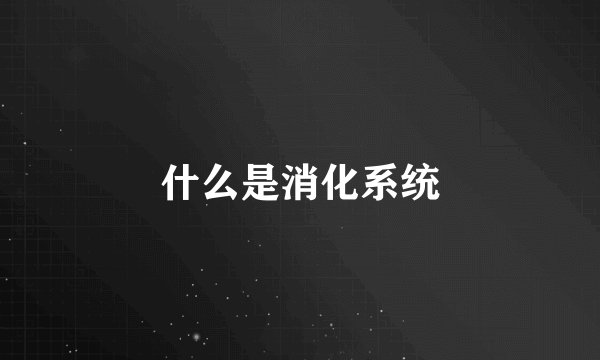 什么是消化系统