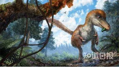 我们是怎样在琥珀里发现恐龙尾巴的？