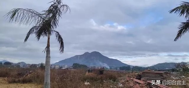 如何看待半藏森林前男友去世事件？