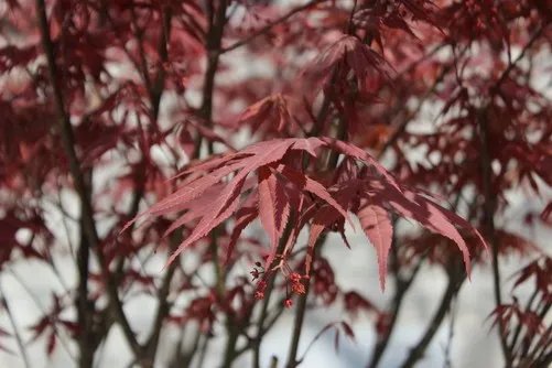 先睹为快 佳能EOS 1200D实拍样张解析