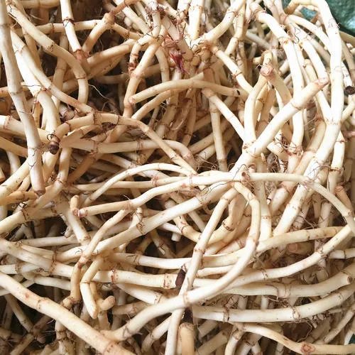 南方有哪些特色街边特色小吃_南方特色小吃推荐