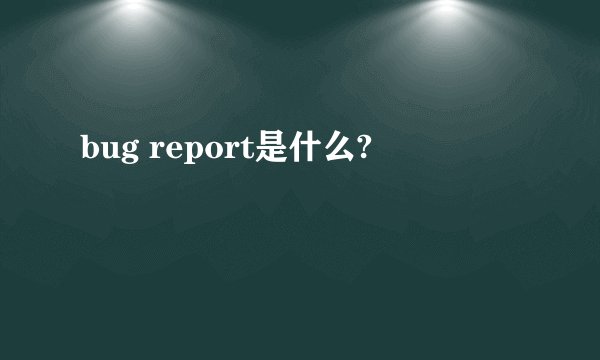 bug report是什么?