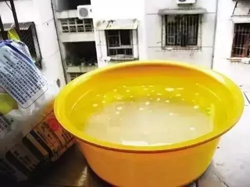 花盆里有小飞虫怎么办？