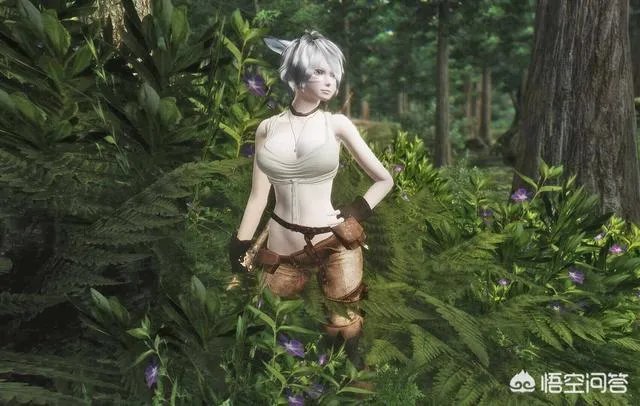 上古卷轴4与5，哪个更好玩？