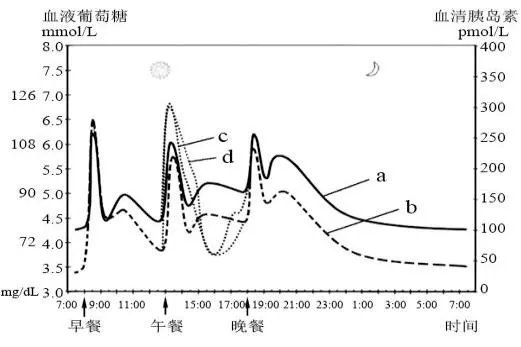 胰岛素分泌曲线图5点标介绍