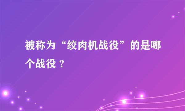 被称为“绞肉机战役”的是哪个战役 ?