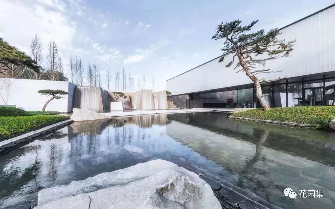 造型松，无奇不自由！气质庭院必备元素