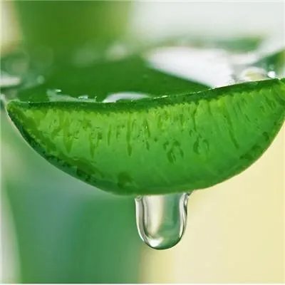 完美芦荟胶的作用