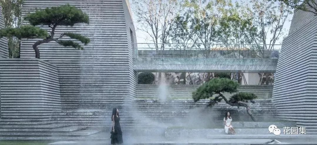 造型松，无奇不自由！气质庭院必备元素