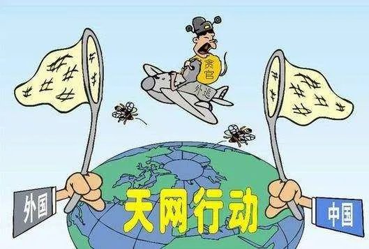 中国引渡条例国查询