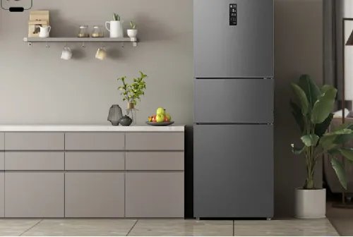 双变频冰箱是什么意思