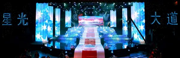 星光大道每界冠亚军