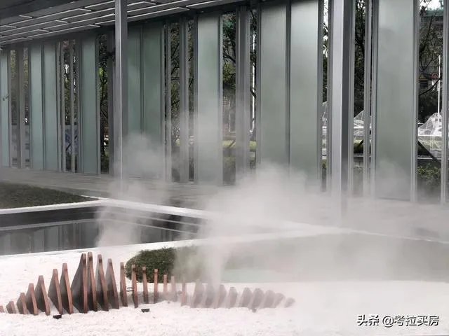 有谁可以帮助分析分析，惠州的中洲半岛城邦的房子特征麽？