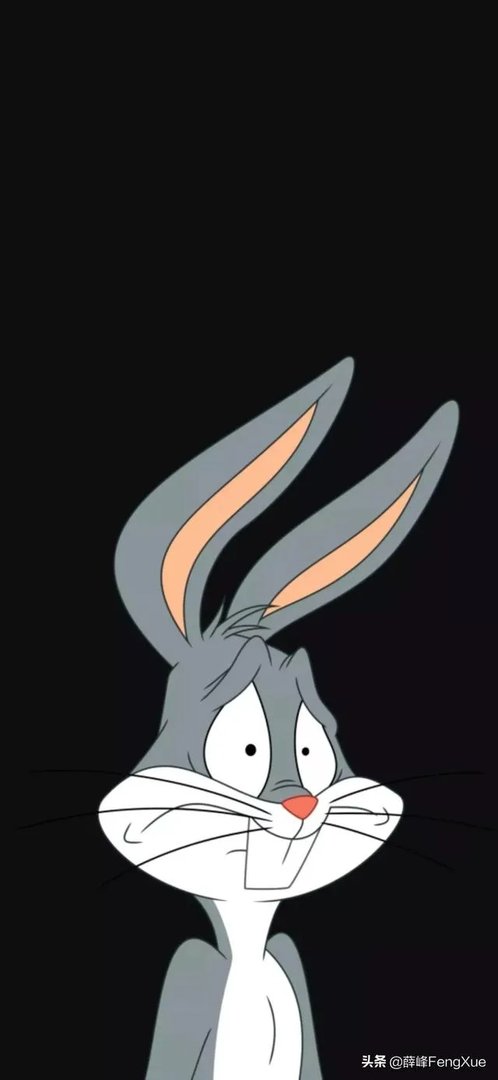 龟壳可以防御子弹吗