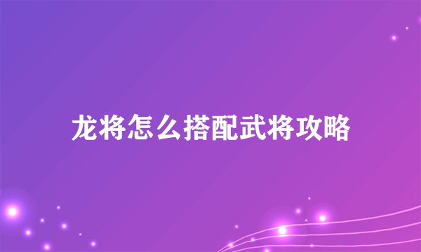 龙将怎么搭配武将攻略