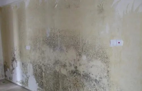 墙面返潮怎么处理 返潮处理方法有哪些