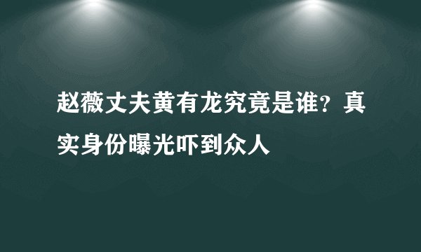 赵薇丈夫黄有龙究竟是谁？真实身份曝光吓到众人