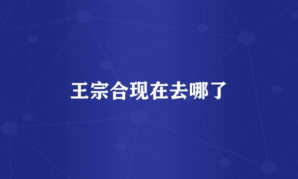 王宗合现在去哪了