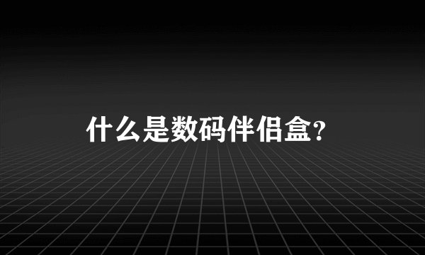 什么是数码伴侣盒？