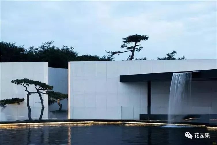 造型松，无奇不自由！气质庭院必备元素