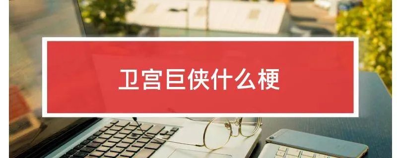 卫宫巨侠什么梗