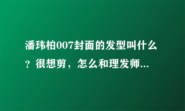 潘玮柏007封面的发型叫什么？很想剪，怎么和理发师说？就是下面这张图上的。